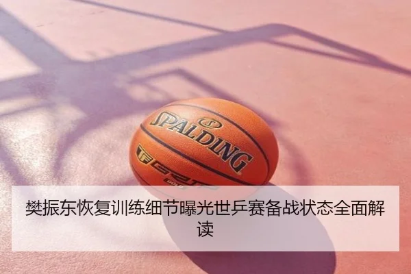 樊振东恢复训练细节曝光世乒赛备战状态全面解读